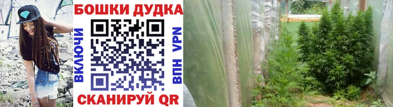 Купить где  Новая Ляля  Канабис конопля 